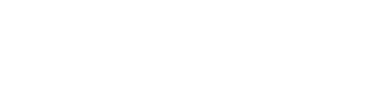 CV & Blogs